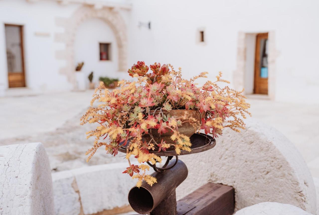 Masseria Casamassima Agriturismo Ostuni Kültér fotó