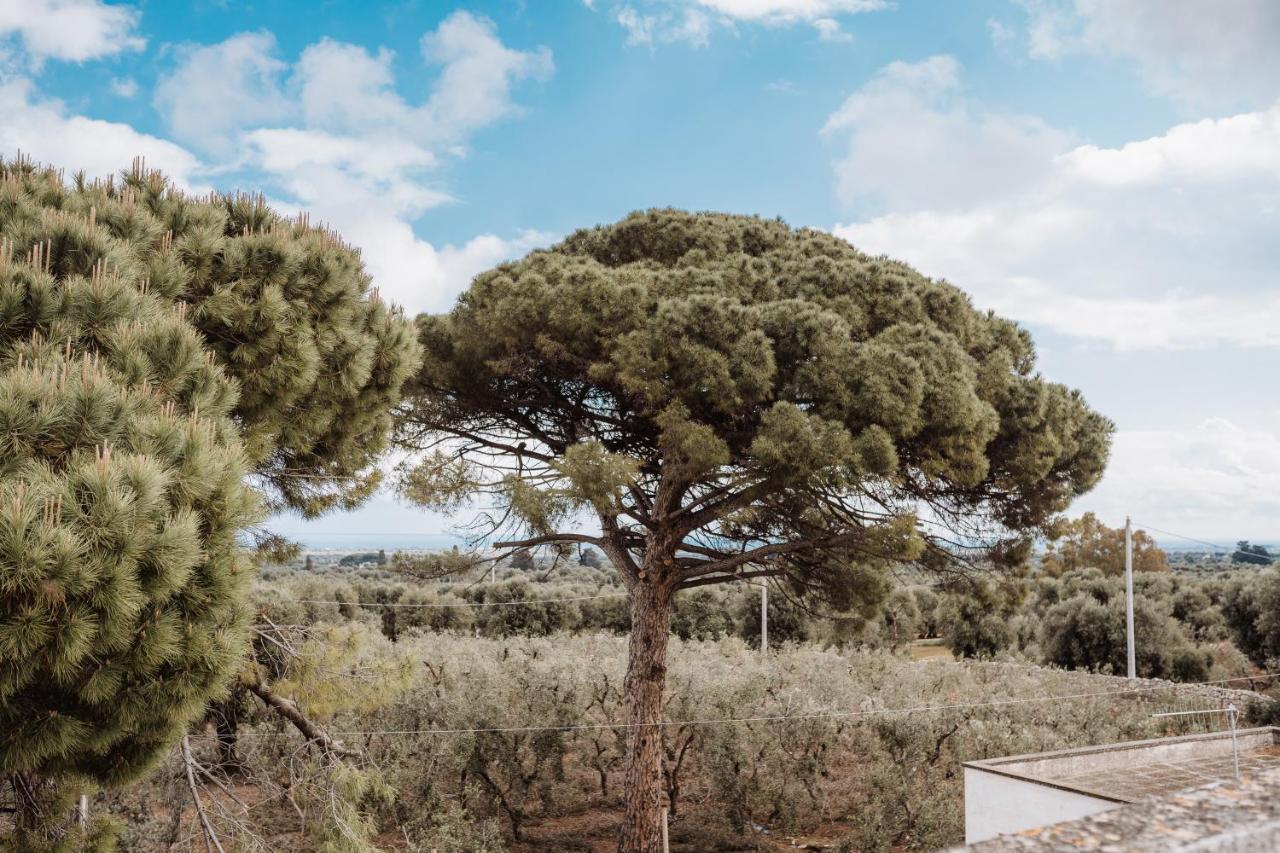 Masseria Casamassima Agriturismo Ostuni Kültér fotó