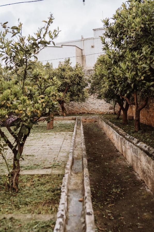 Masseria Casamassima Agriturismo Ostuni Kültér fotó