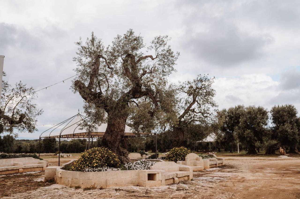 Masseria Casamassima Agriturismo Ostuni Kültér fotó