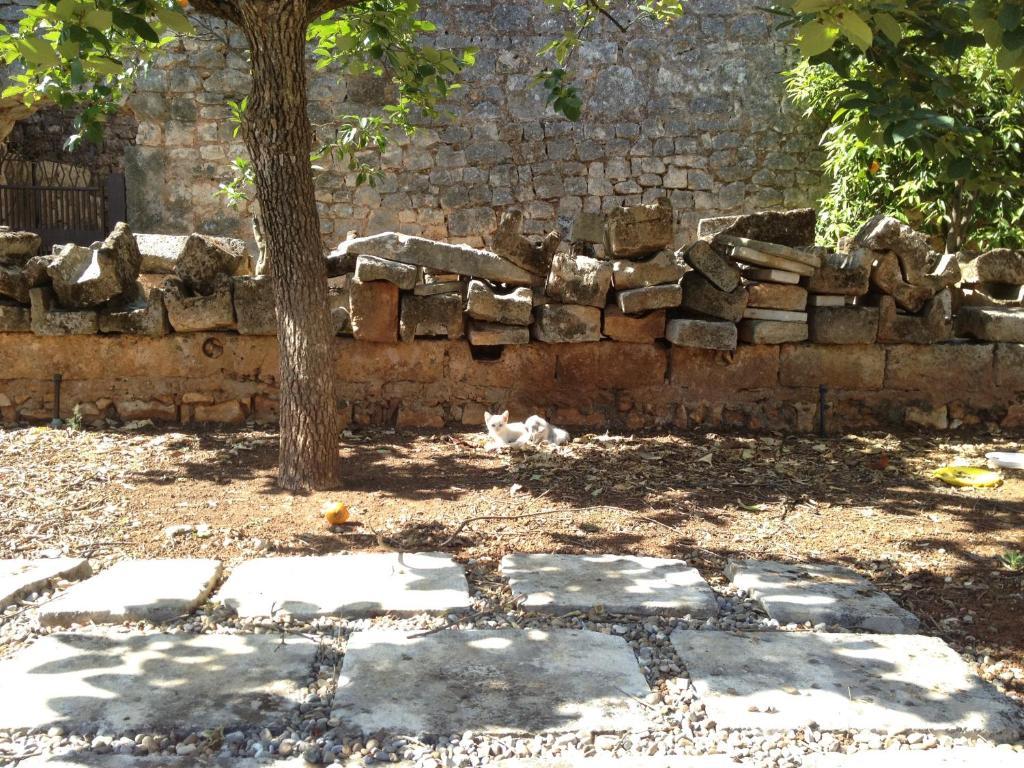 Masseria Casamassima Agriturismo Ostuni Kültér fotó